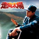 태양을향하여 이미지