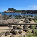 11305-9-167-1 | 예스지 버스투어 예스폭진지 예류 스펀 폭포 진과스 지우펀 후기 광부도시락