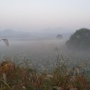 창남목장 이미지