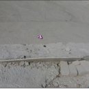 옥길1길 이미지