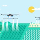 관영농장 이미지