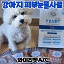 (주)더와이즈벳 | 유한양행 와이즈벳에이씨 비숑 눈물알러지 소프트 사료 급여 후기