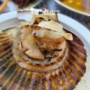 태안 알로하오에 애견풀빌라 이미지