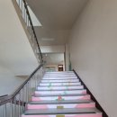 입북초등학교 이미지