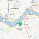롯데강남아떼바네사브루노