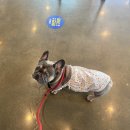 멍글멍글 이미지