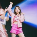 펀치 이미지