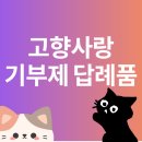 고향주유소 | 2025 고향사랑기부제 답례품 추천 BEST 3 &amp; 전액 공제 꿀팁 (후기)