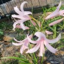 단지골 농장 이미지