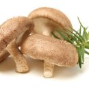 고양1호농장 이미지