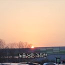 낭만사시미 이미지