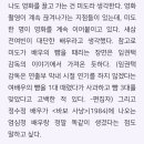 Yes or No ‘원스 어폰 어 타임 인 충무로’ ＜거미집＞ 이미지