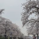 부곡온천중앙로 이미지