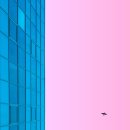 핑크핑크해 이미지