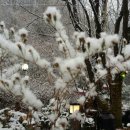 퇴촌 낭만펜션 이미지