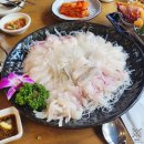 청담항 | 청담역 횟집 모듬회 회덮밥 독도새우 맛집 - 청담항