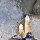 아름다운농장 이미지