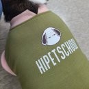 펫 디자인(강아지 옷 만들기) 이미지