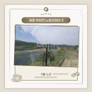 신상 세종 근교 대형 베이커리 카페, 파노라마 통창뷰 &#39;노호&#39; CAFE NOHO