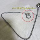 지오디독 이미지