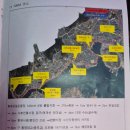 2024 제35회 경남생활체육대축전(통영) 육상(11.3.) 후기