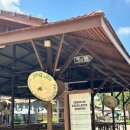 요놈마켓 이미지