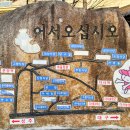 다세정식당 이미지