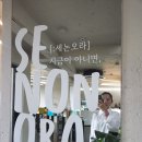 세논오라