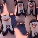 동이트는집 이미지