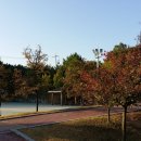 야외족구장 이미지