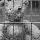 동성중삼거리 이미지