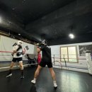 레드짐 복싱클럽 이미지