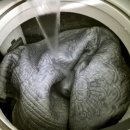 점보세탁소 이미지