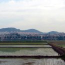 상승농장2 이미지