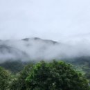 상석목장 이미지