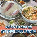 광어9900 | 수원 가성비에 양도 많은 회, 물회 맛집 광어1마리9900 수원본점