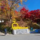 달성카프라자 이미지