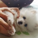 제2경북약국 이미지