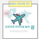 우리비치 | [우리지금놀러괌]괌 리프호텔 후기_투먼비치 상공뷰