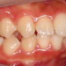 리봄치과의원 이미지