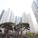 수지부동산공인중개사사무소 이미지