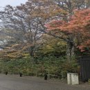 백석골길2 | 포장이사 준비할 때 떠오르는 구름 같은 마음, 걱정을 덜어주는 방법