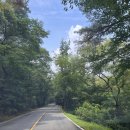 다드림식자재마트 | 한화리조트 용인 베잔송 | 디럭스호텔형 1박 2일 용인리조트 네고왕 후기