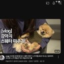 셀럽은 아니지만 열심히 블로그를 운영하고 있어요