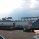 해상공원 분수대 위 이미지