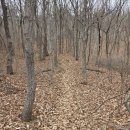 용성방갈로 다리 입구 | 20251229오후금정산체력훈련산행