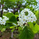 송이밸리자연휴양림 이미지