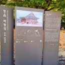 봄빛향문화원 | 이 가을에 ,,,