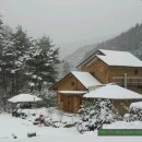 소나무황토집 이미지