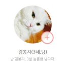 김*남3 이미지